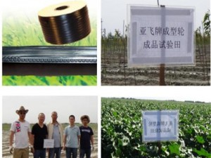 亞飛牌滴成型輪生產(chǎn)的滴管帶試驗(yàn)田