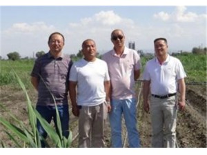 亞飛技術(shù)人員深入農(nóng)戶跟蹤調(diào)研