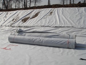 人工景觀湖防滲